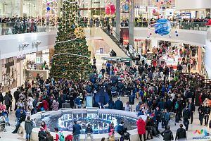 Черная пятница. 25.11.2017